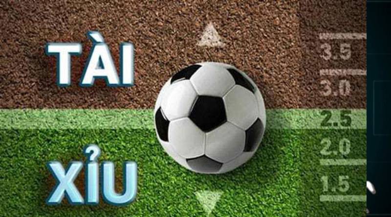 Tìm hiểu về kèo cược thẻ phạt tài xỉu Tìm hiểu về kèo cược thẻ phạt tài xỉu