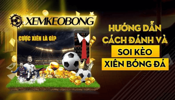 Cách tính kết quả kèo xiên trong mỗi trận đấu Cách tính kết quả kèo xiên trong mỗi trận đấu