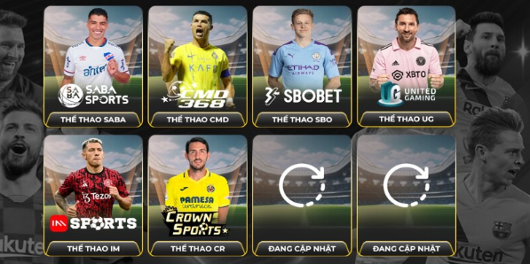 Những thể loại cá cược thể thao ăn khách tại sân chơi